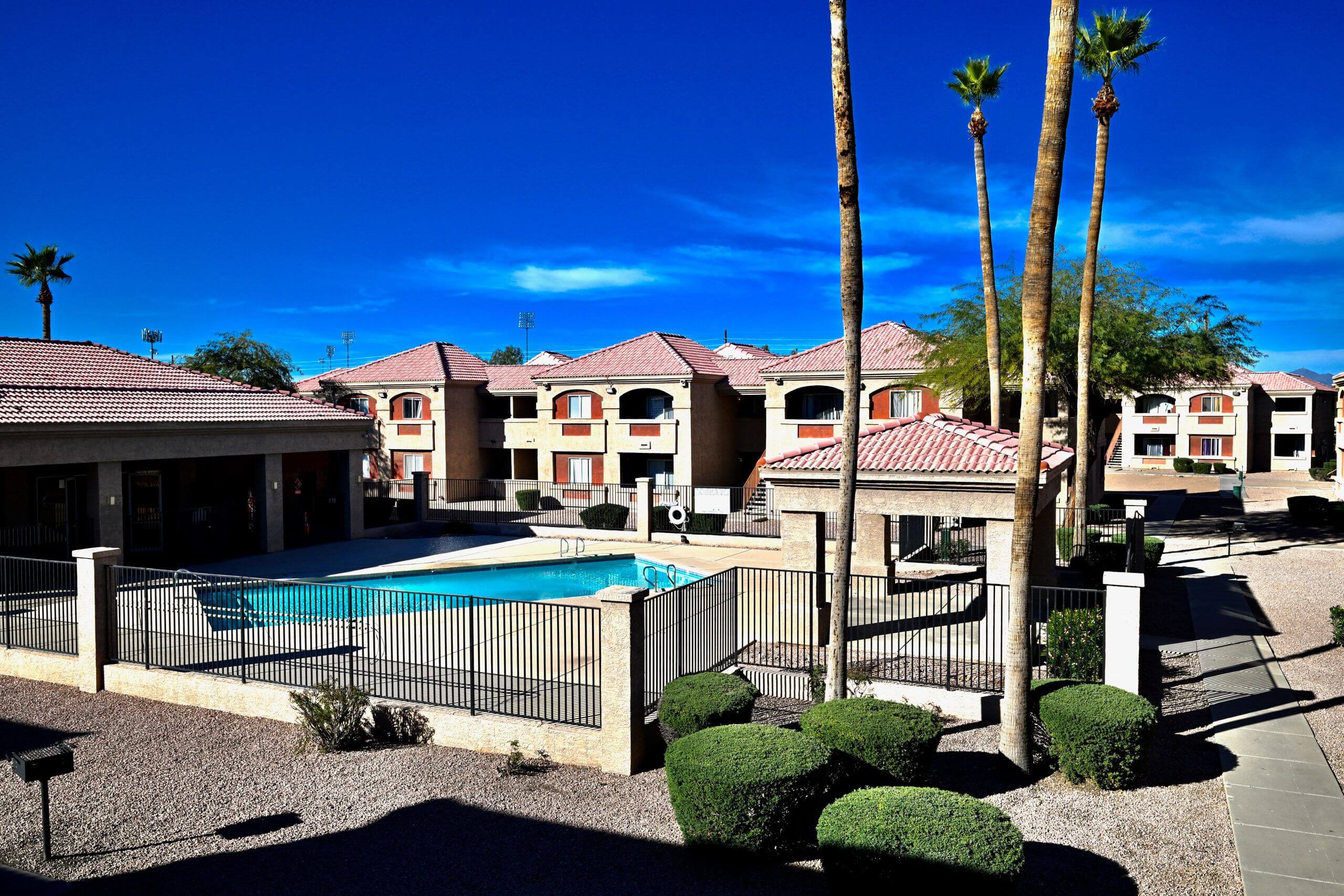 Desert Palms photo 3